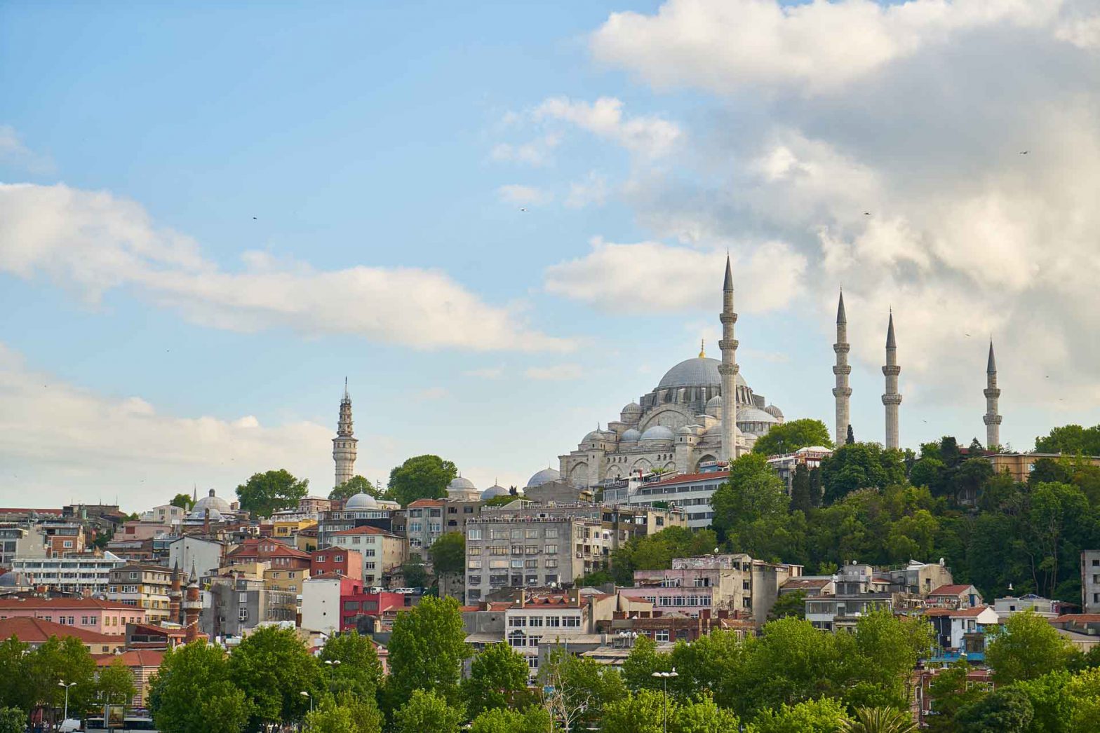 turkey